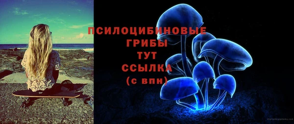 синтетический гашиш Переславль-Залесский