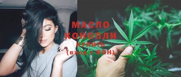 Альфа ПВП Пересвет